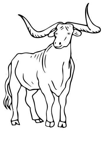 Texas Longhorn Coloring Page